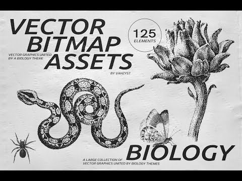 125 Vector Bitmap Assets. Biology